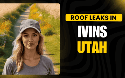 Comprehensive Repairs for Roof Leaks in Ivins, UT